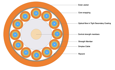 Indoor Breakout Cable 12F